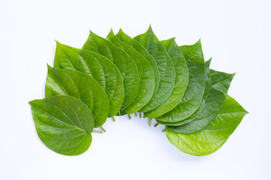 Betel leaves 6Pcs