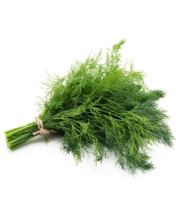 Dill Leaves 100g