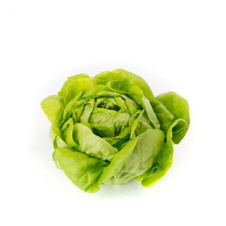 Butterhead Lettuce (300g)