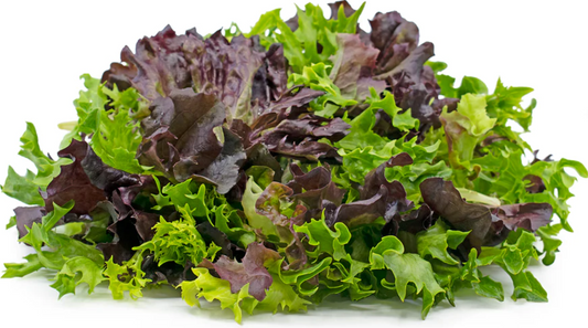 Lettuce Salad Mix (300g)