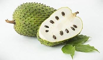 Soursop 1Pcs