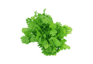 Coriander 100g