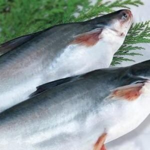 BASA FISH 1Kg