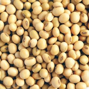 Soya Beans 250g