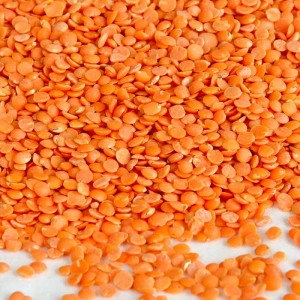 Mysore Orange Masoor Dal 500gm