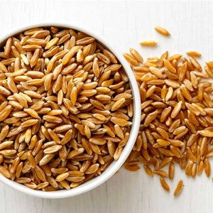 Khapli Emmer Wheat 500g