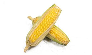 Sweet Corn 1Pc